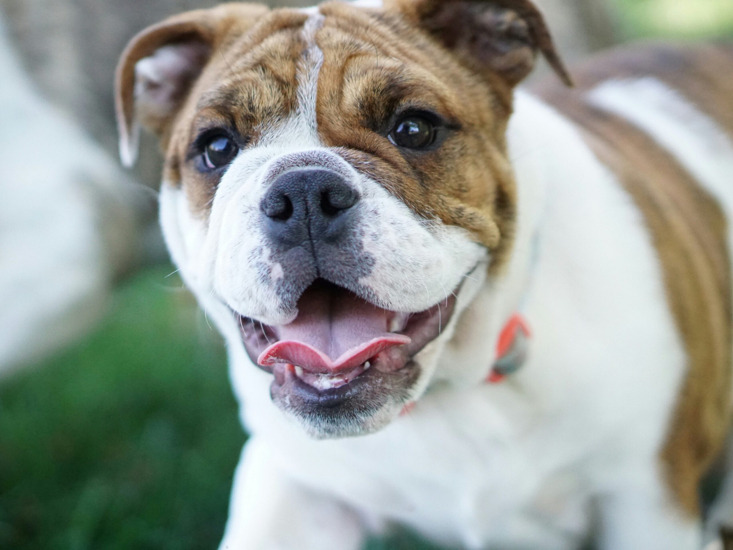 matt-odell--yWiUC-mqLw-unsplash